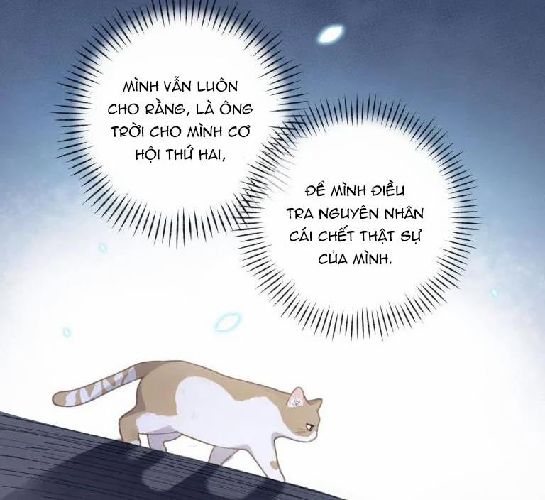 Cà Phê Mèo Phục Thù Ký 3 trang 19