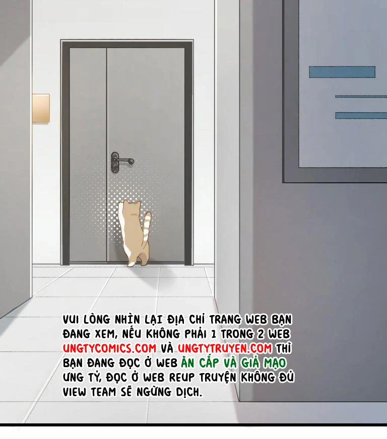 Cà Phê Mèo Phục Thù Ký 3 trang 2