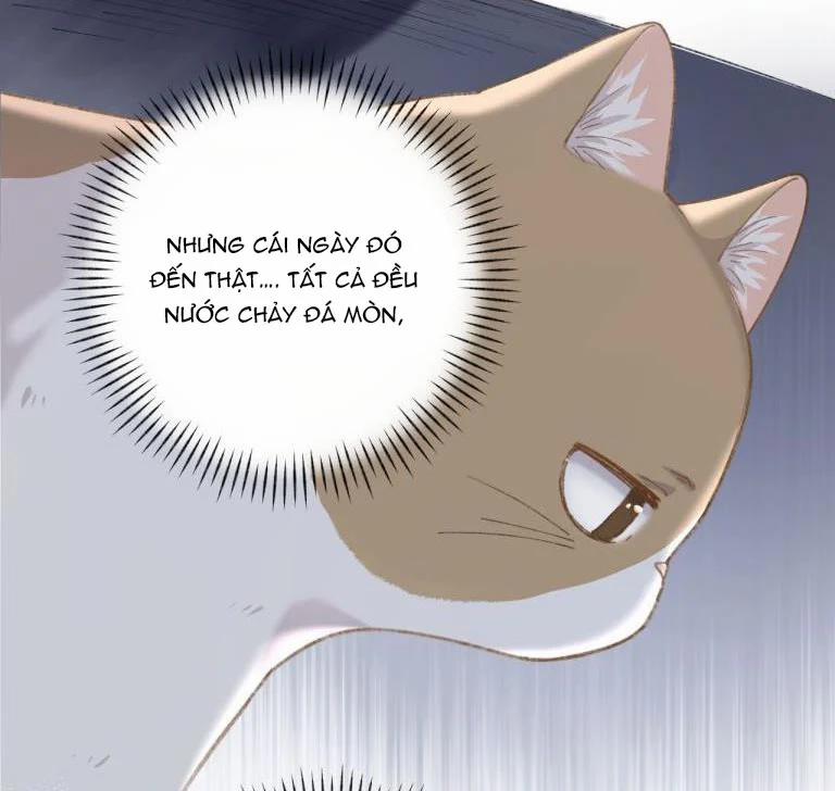 Cà Phê Mèo Phục Thù Ký 3 trang 20