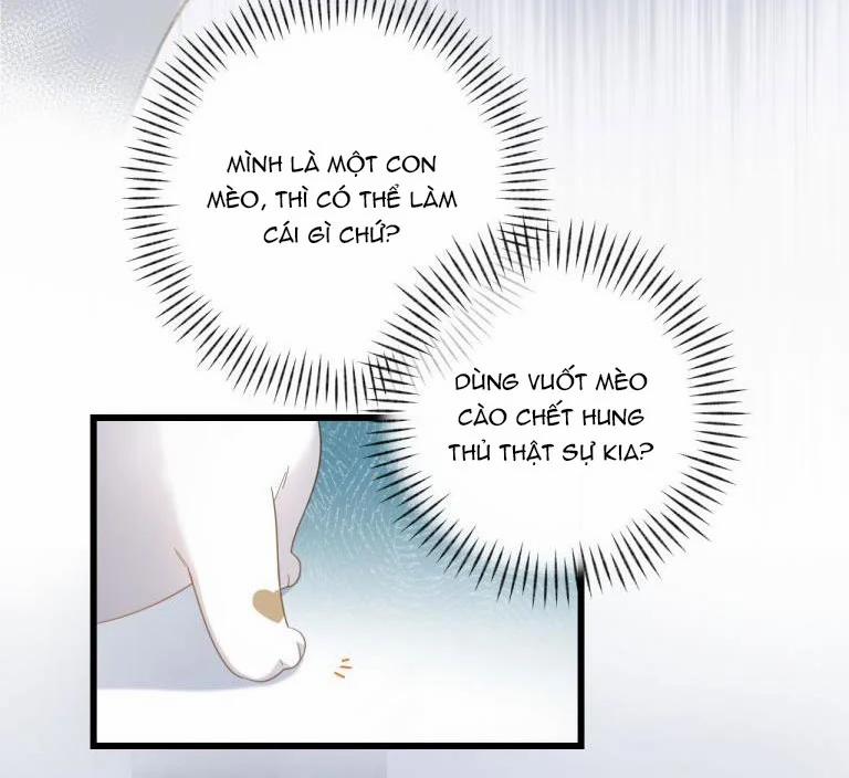 Cà Phê Mèo Phục Thù Ký 3 trang 21
