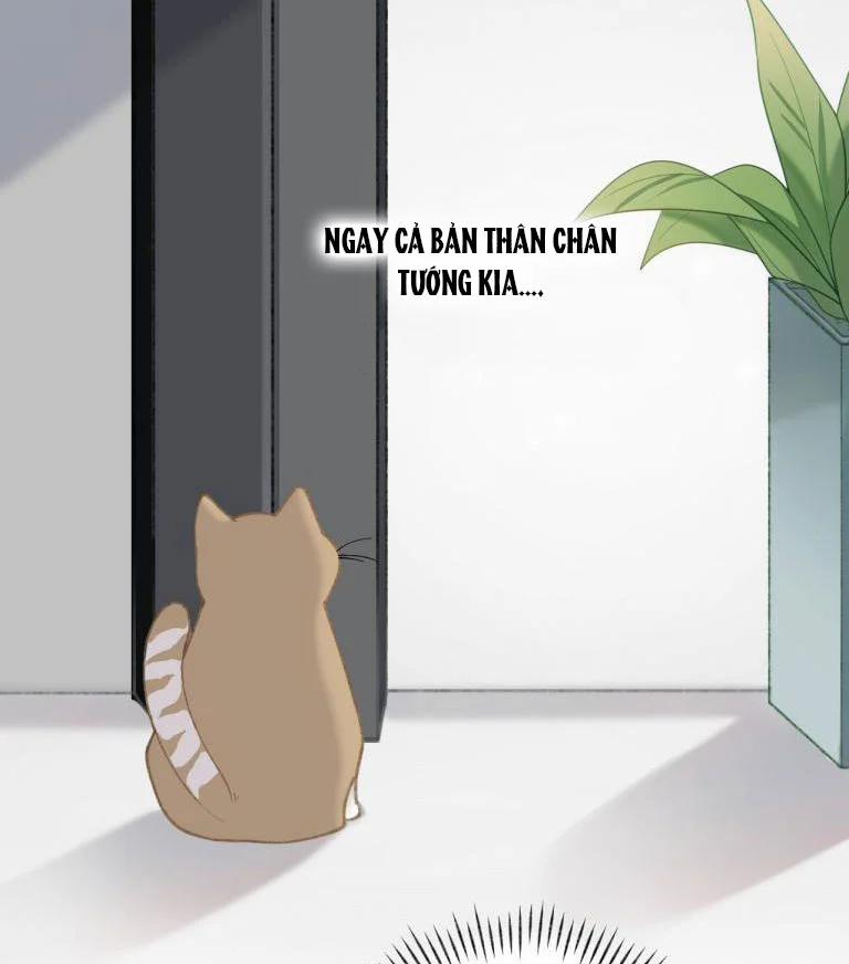 Cà Phê Mèo Phục Thù Ký 3 trang 23