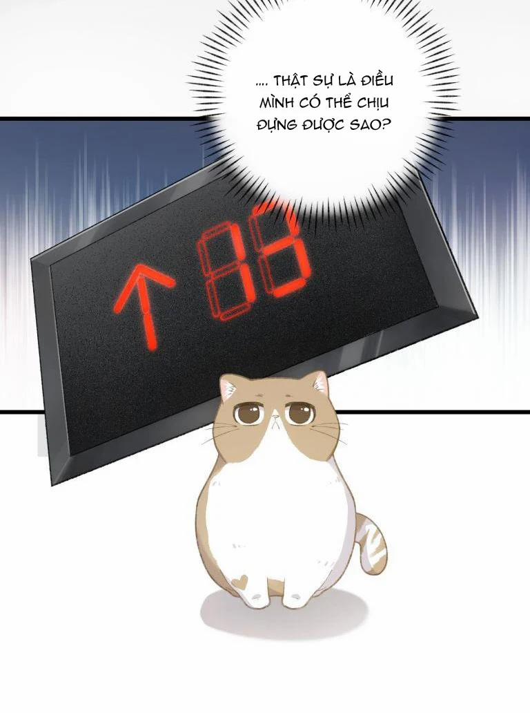 Cà Phê Mèo Phục Thù Ký 3 trang 24