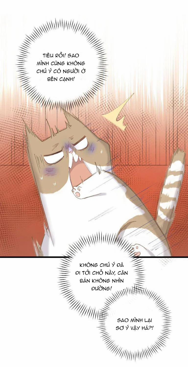 Cà Phê Mèo Phục Thù Ký 3 trang 26