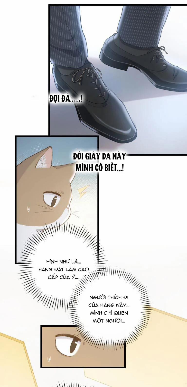 Cà Phê Mèo Phục Thù Ký 3 trang 27