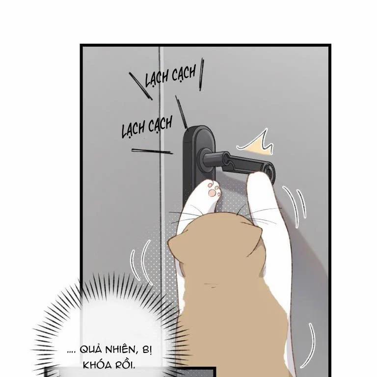 Cà Phê Mèo Phục Thù Ký 3 trang 3