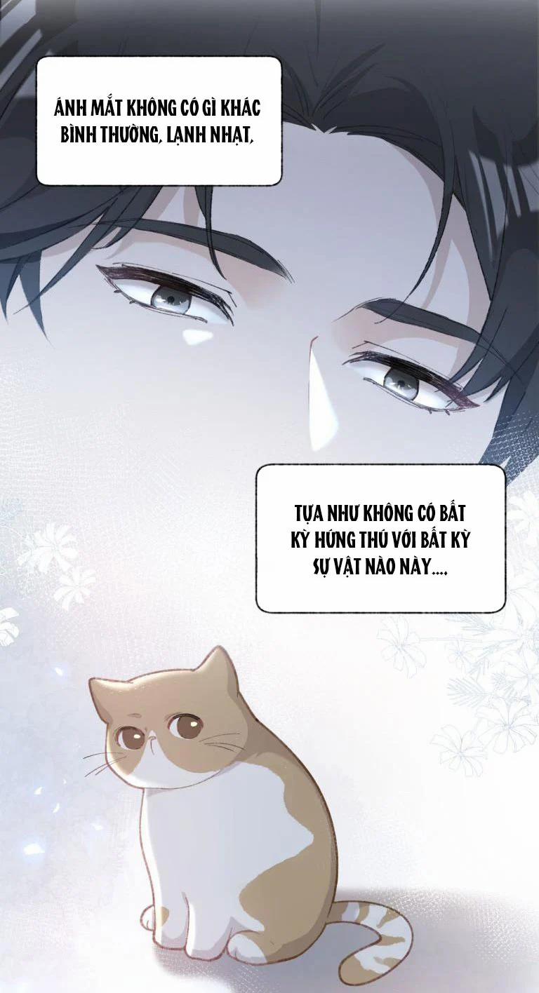 Cà Phê Mèo Phục Thù Ký 3 trang 33