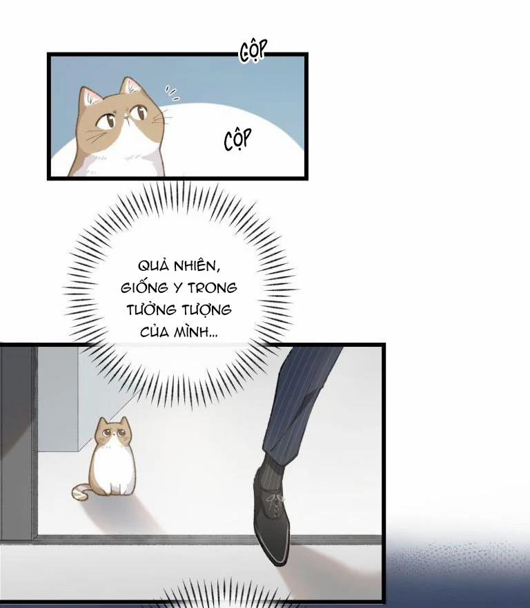 Cà Phê Mèo Phục Thù Ký 3 trang 36