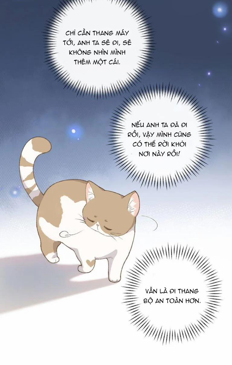 Cà Phê Mèo Phục Thù Ký 3 trang 37