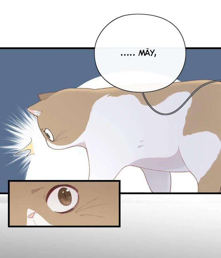 Cà Phê Mèo Phục Thù Ký 3 trang 38