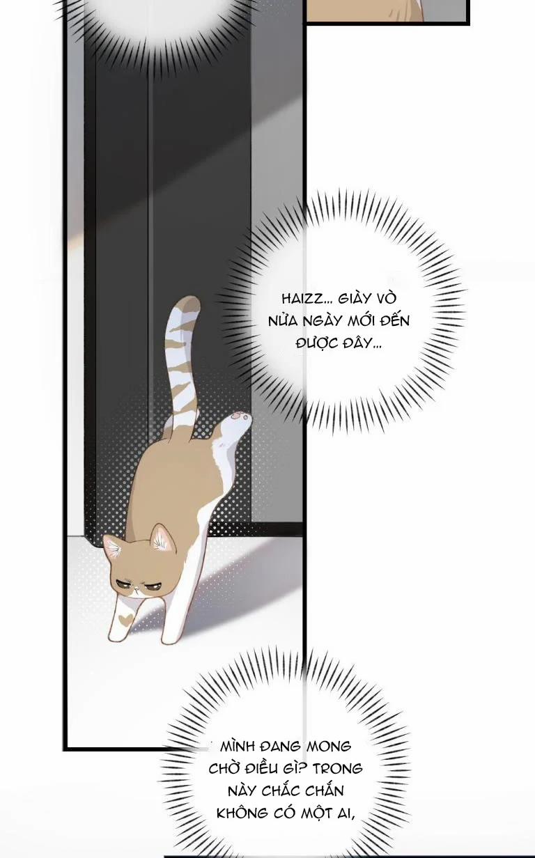 Cà Phê Mèo Phục Thù Ký 3 trang 4