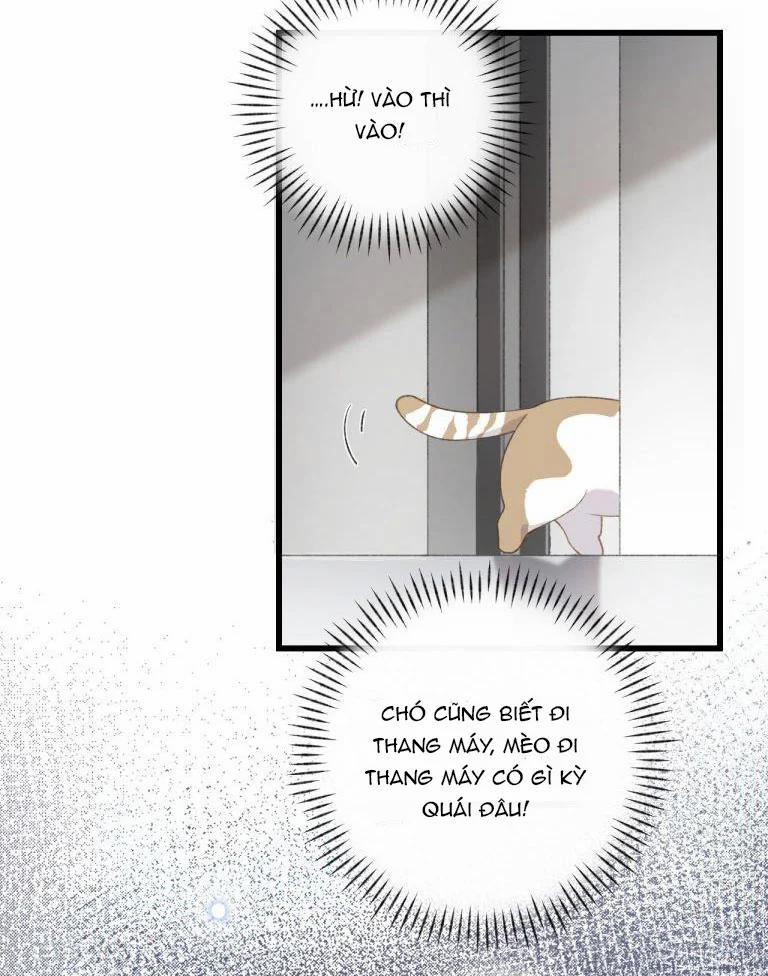 Cà Phê Mèo Phục Thù Ký 3 trang 44