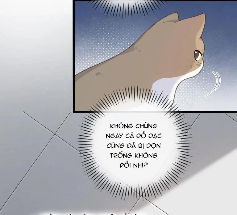 Cà Phê Mèo Phục Thù Ký 3 trang 5