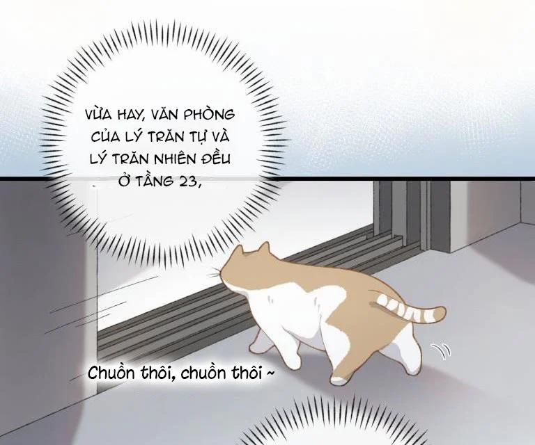 Cà Phê Mèo Phục Thù Ký 3 trang 62