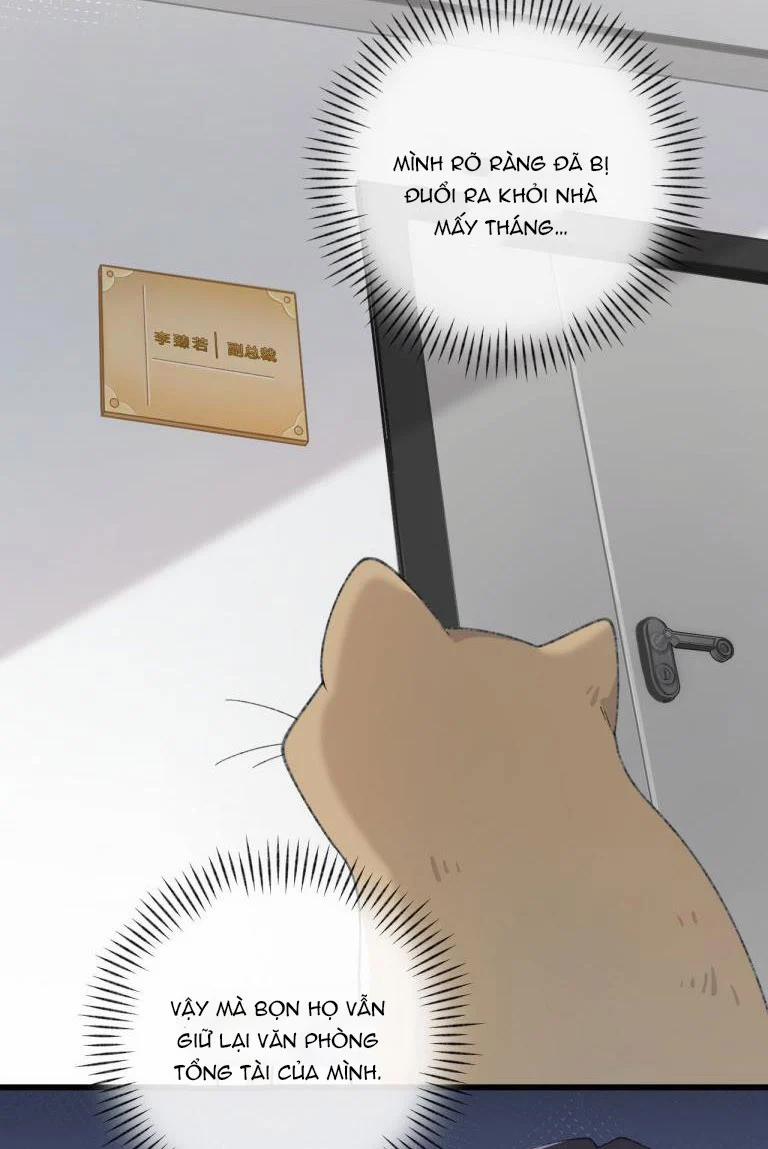 Cà Phê Mèo Phục Thù Ký 3 trang 8