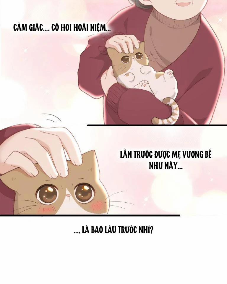 Cà Phê Mèo Phục Thù Ký 4 trang 12