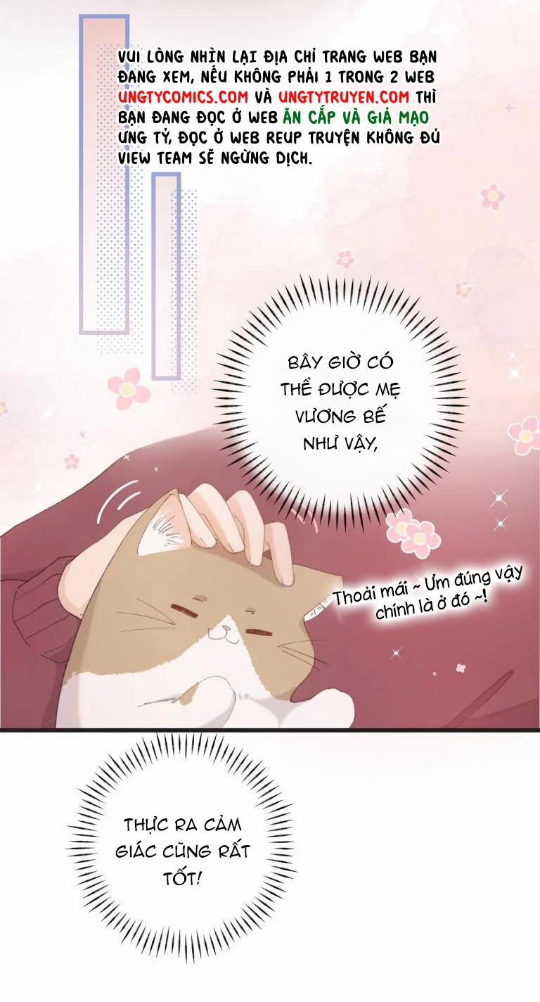 Cà Phê Mèo Phục Thù Ký 4 trang 18