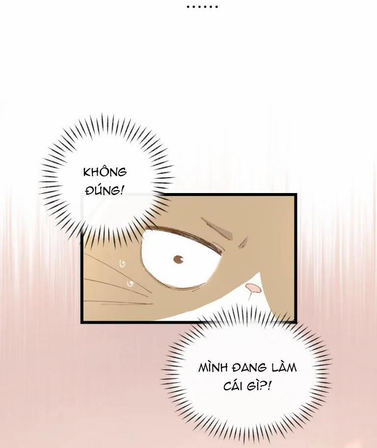 Cà Phê Mèo Phục Thù Ký 4 trang 19