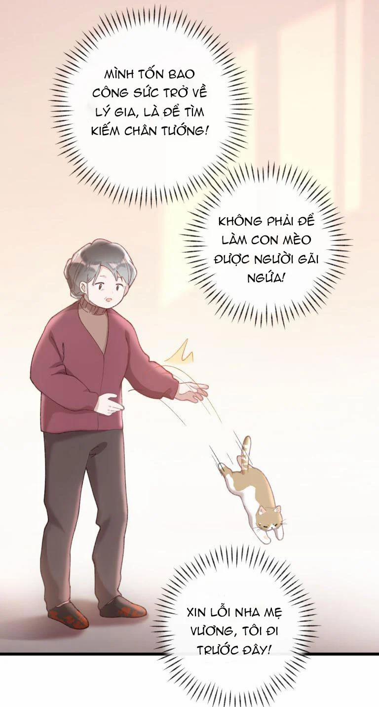 Cà Phê Mèo Phục Thù Ký 4 trang 20