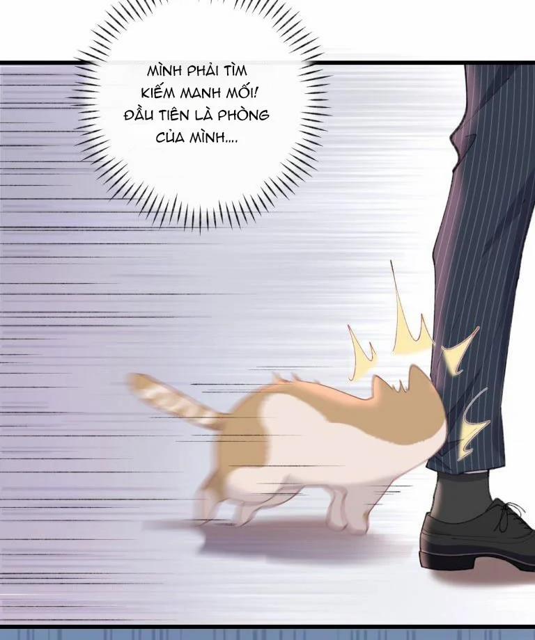 Cà Phê Mèo Phục Thù Ký 4 trang 22