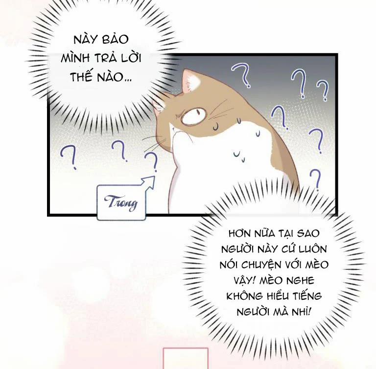 Cà Phê Mèo Phục Thù Ký 4 trang 25