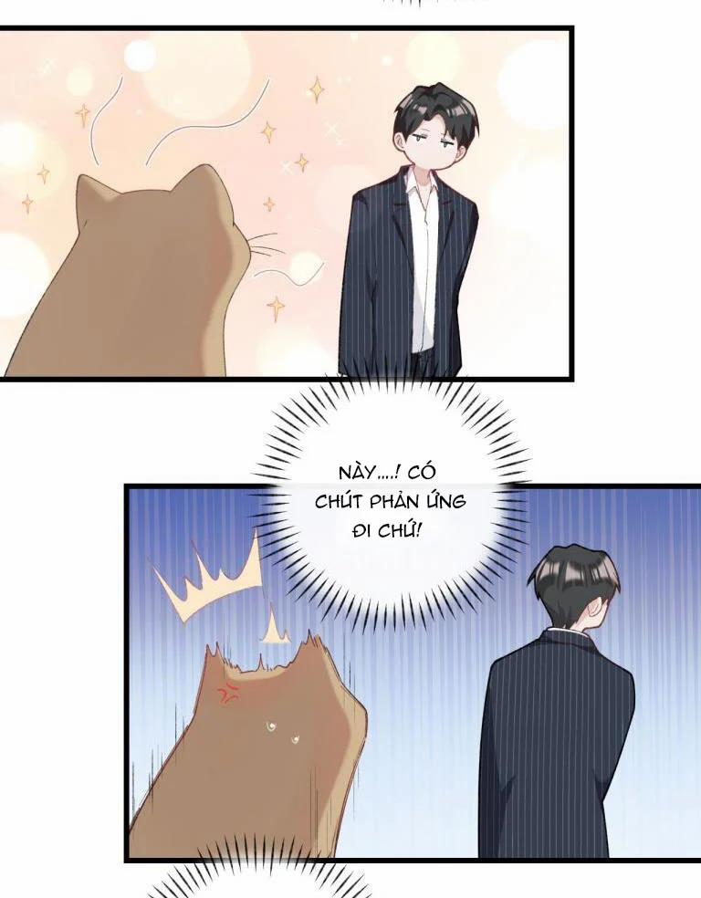 Cà Phê Mèo Phục Thù Ký 4 trang 27