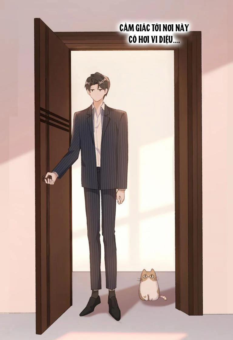 Cà Phê Mèo Phục Thù Ký 4 trang 31