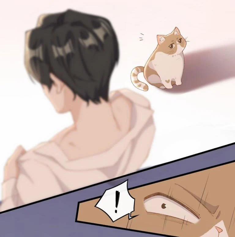 Cà Phê Mèo Phục Thù Ký 4 trang 36