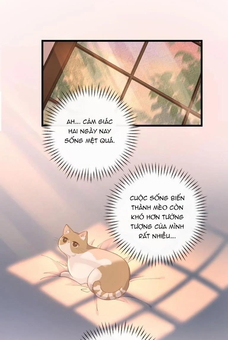 Cà Phê Mèo Phục Thù Ký 4 trang 40