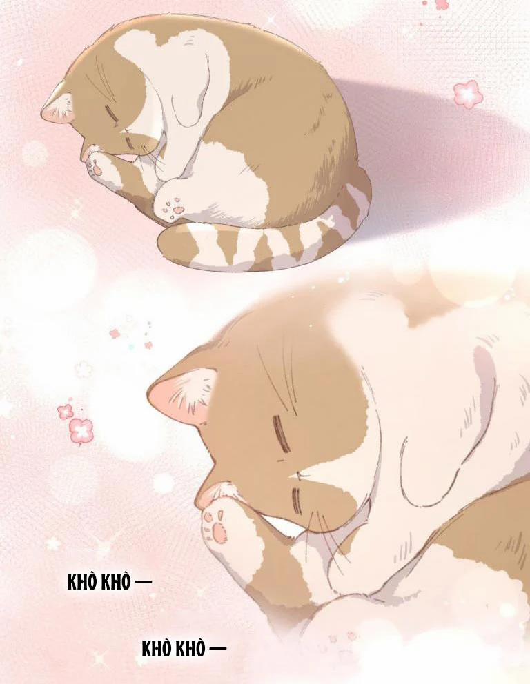 Cà Phê Mèo Phục Thù Ký 4 trang 44