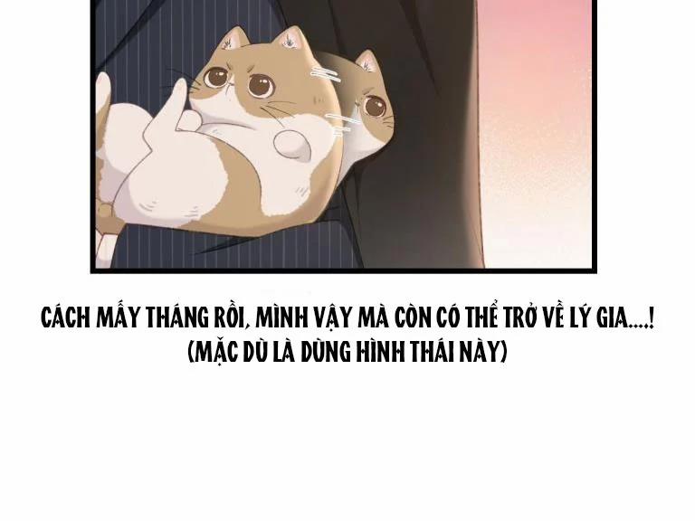 Cà Phê Mèo Phục Thù Ký 4 trang 7