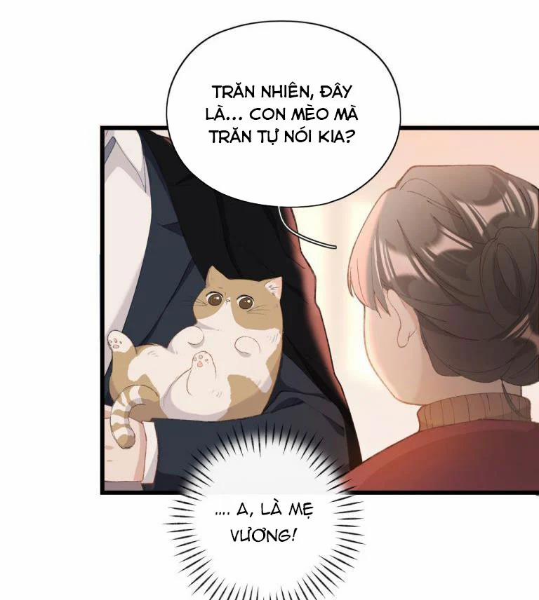 Cà Phê Mèo Phục Thù Ký 4 trang 8