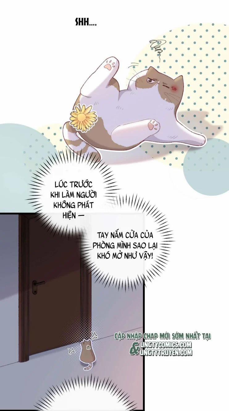 Cà Phê Mèo Phục Thù Ký 5 trang 20