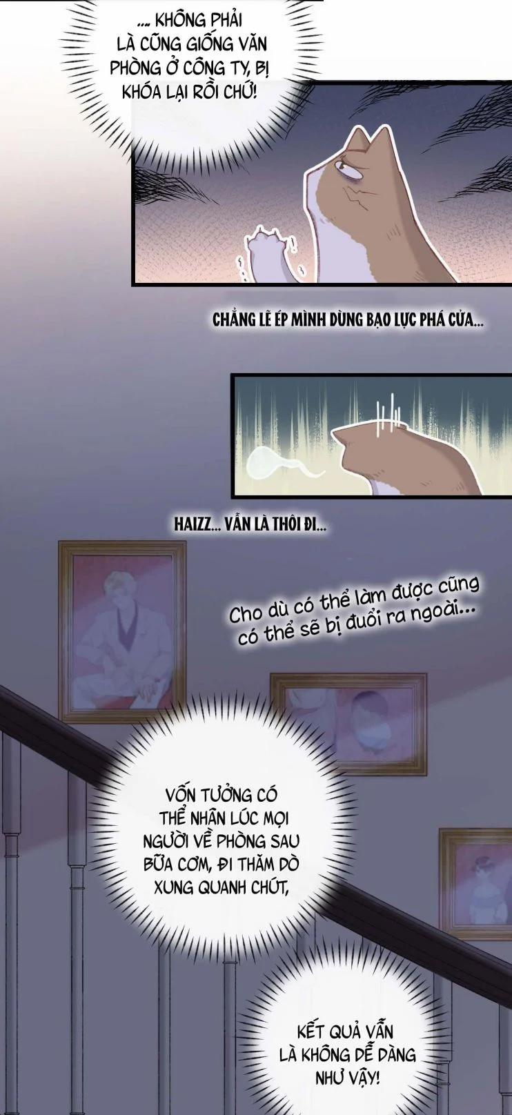 Cà Phê Mèo Phục Thù Ký 5 trang 21