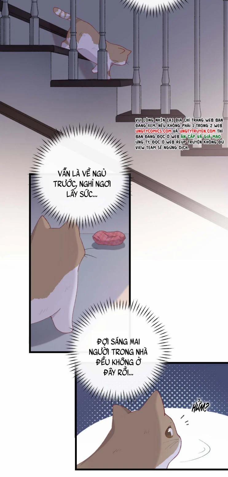 Cà Phê Mèo Phục Thù Ký 5 trang 22