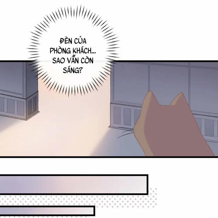 Cà Phê Mèo Phục Thù Ký 5 trang 23