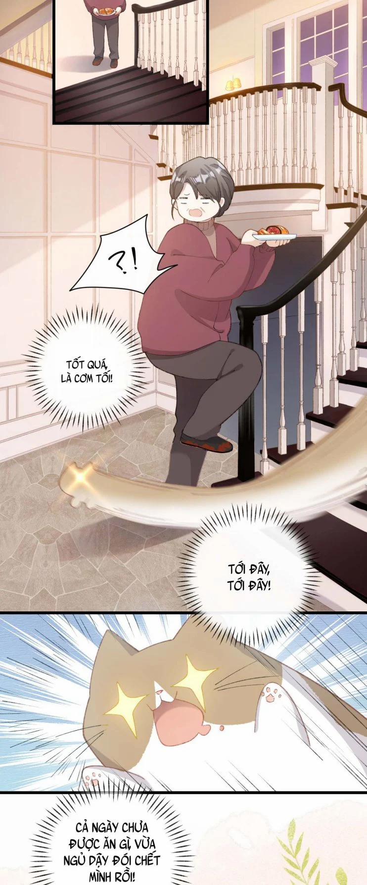 Cà Phê Mèo Phục Thù Ký 5 trang 3