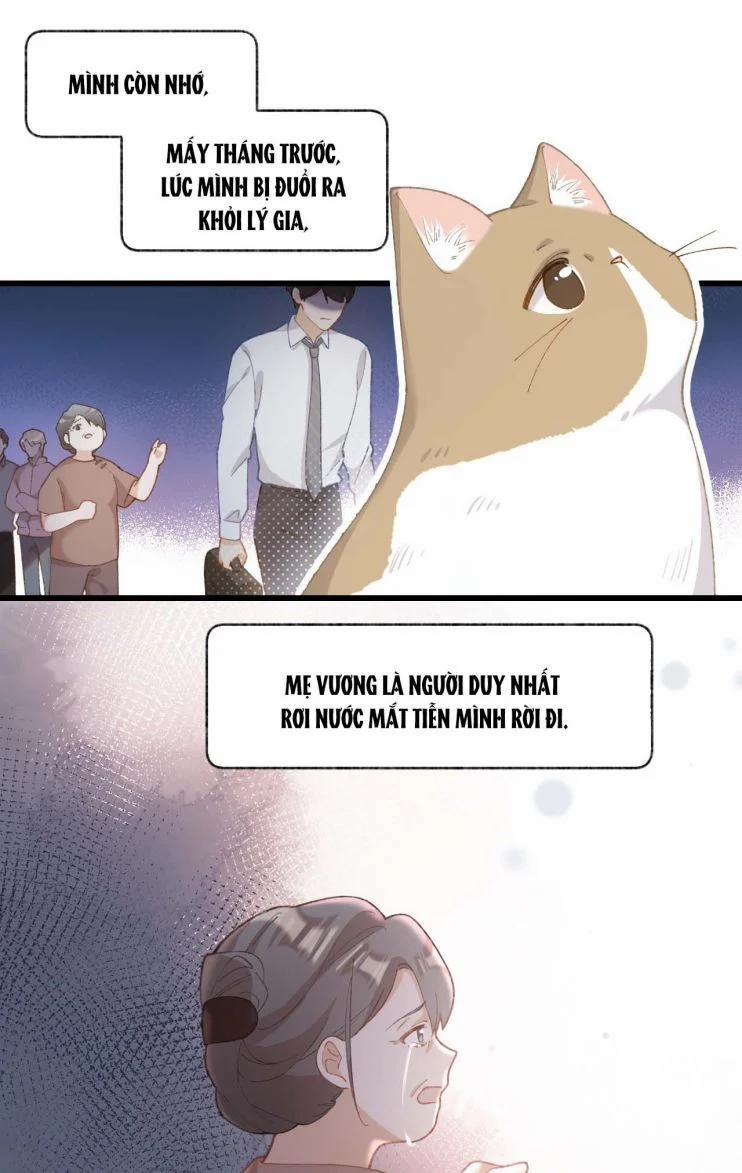 Cà Phê Mèo Phục Thù Ký 5 trang 31