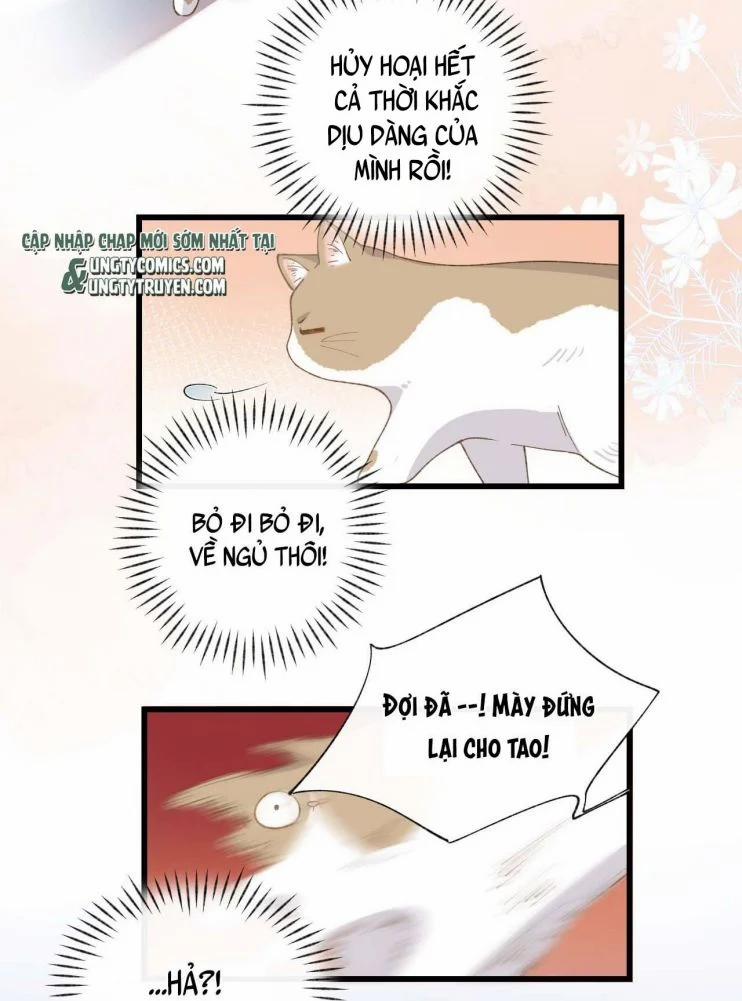 Cà Phê Mèo Phục Thù Ký 5 trang 36