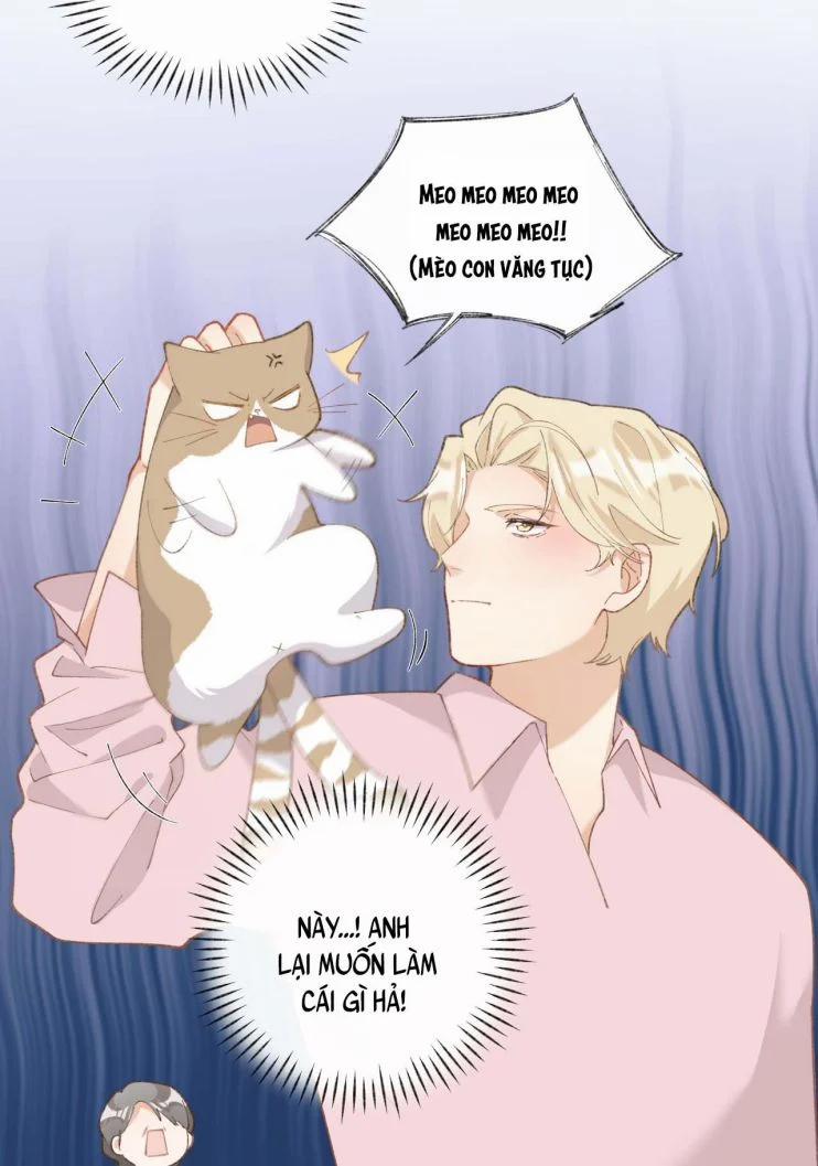 Cà Phê Mèo Phục Thù Ký 5 trang 37