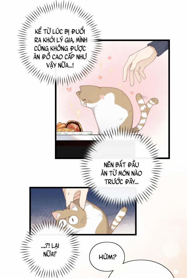 Cà Phê Mèo Phục Thù Ký 5 trang 5