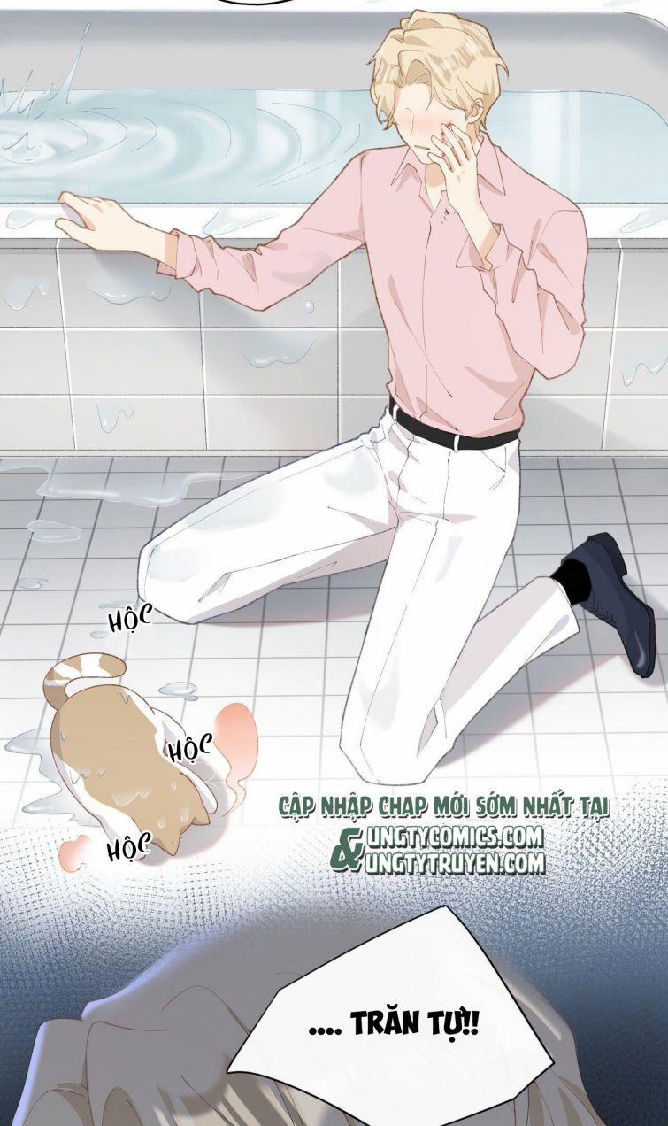 Cà Phê Mèo Phục Thù Ký 6 trang 13