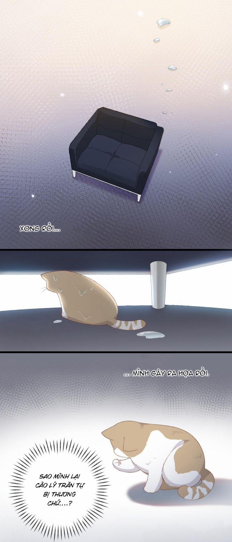 Cà Phê Mèo Phục Thù Ký 6 trang 21