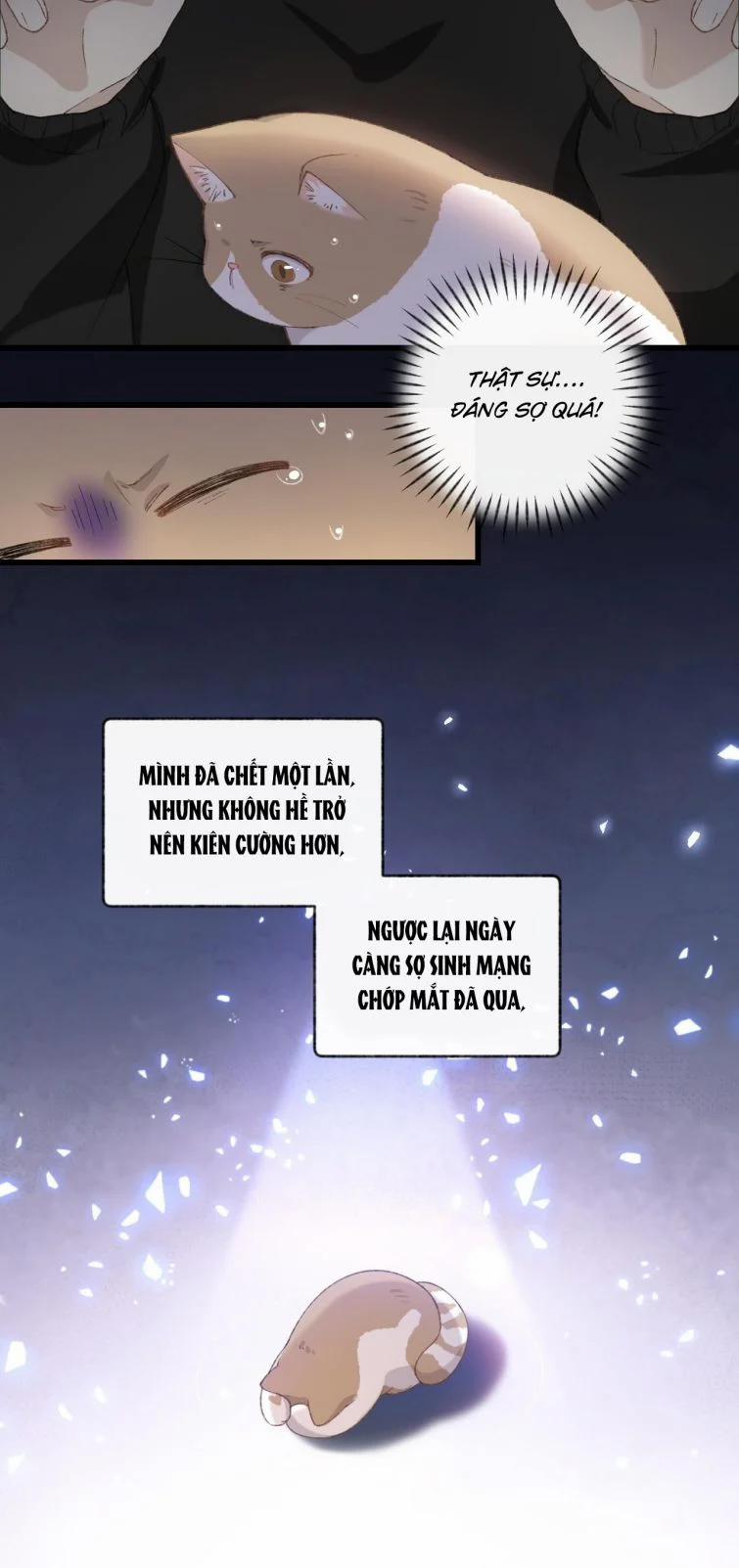 Cà Phê Mèo Phục Thù Ký 6 trang 23