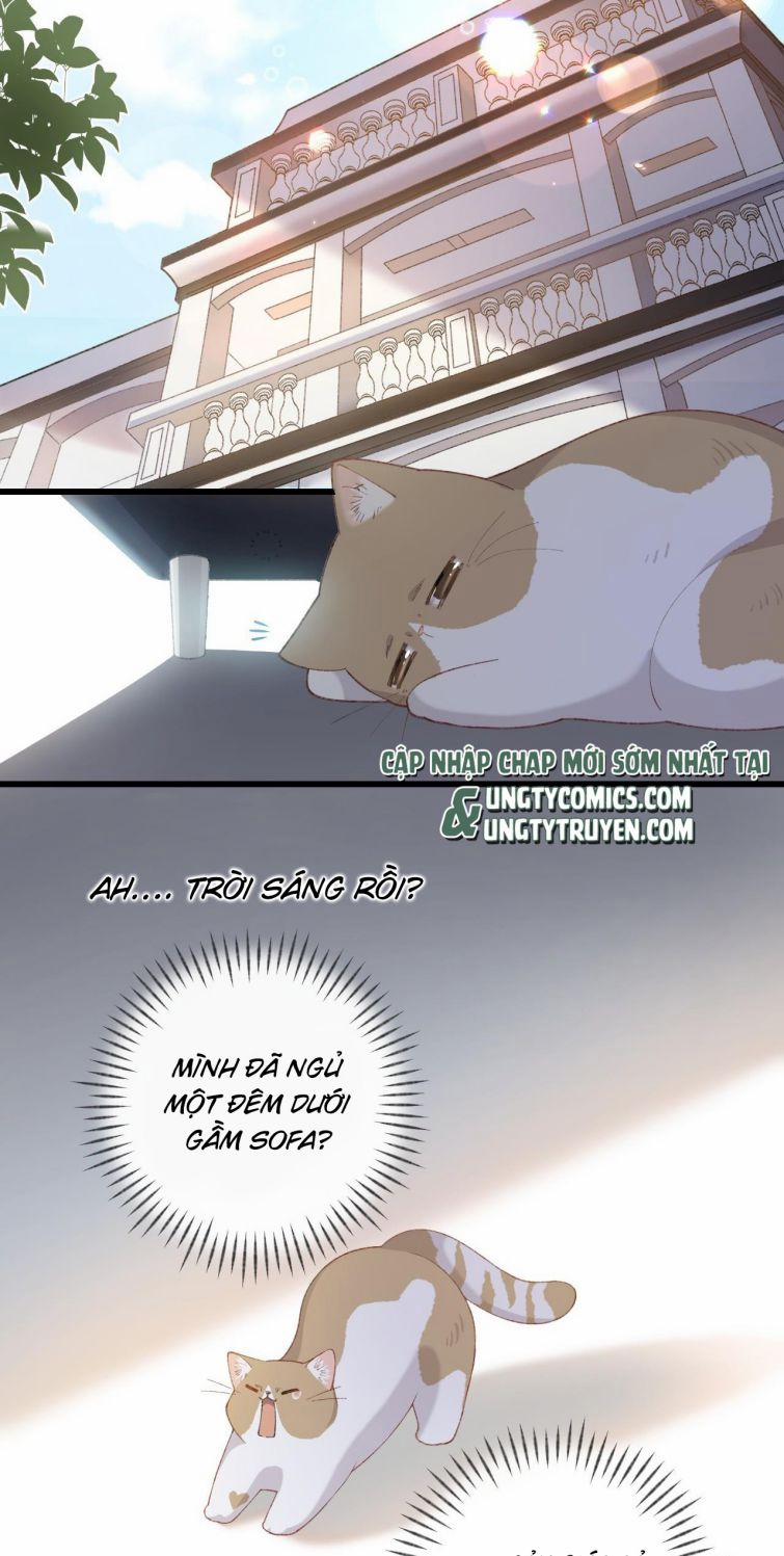 Cà Phê Mèo Phục Thù Ký 6 trang 29