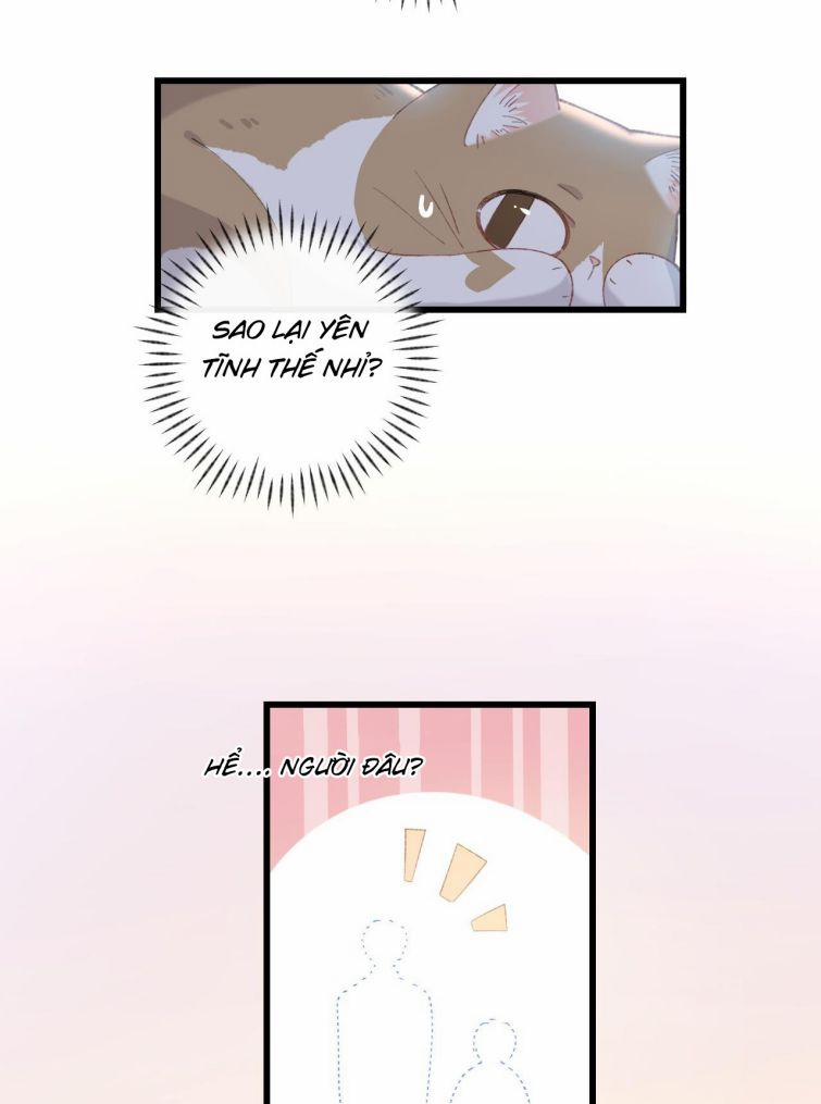 Cà Phê Mèo Phục Thù Ký 6 trang 38