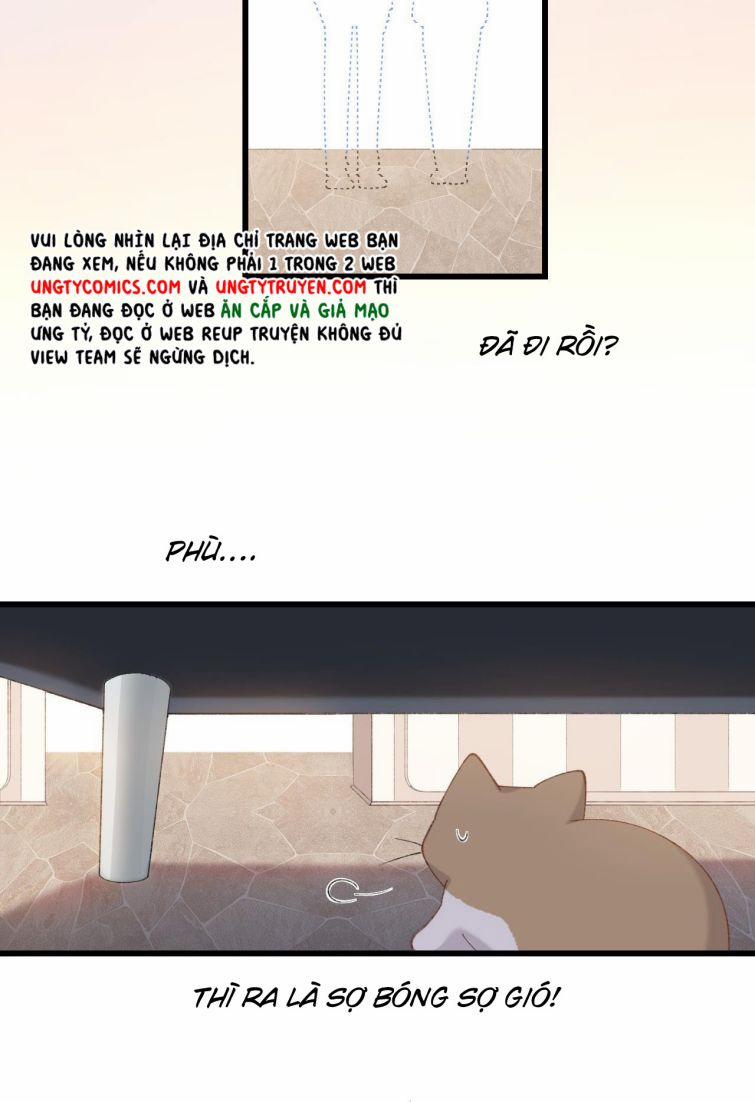 Cà Phê Mèo Phục Thù Ký 6 trang 39