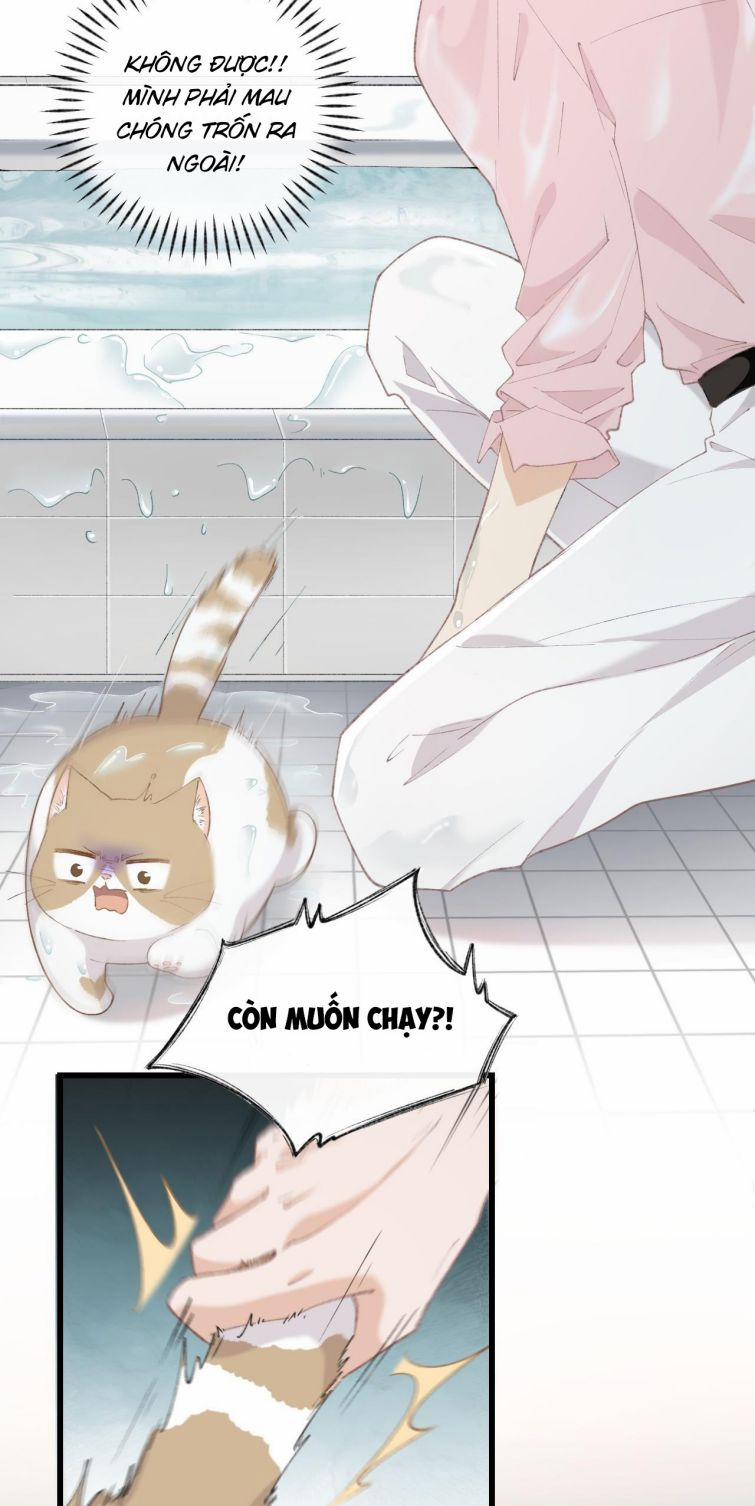 Cà Phê Mèo Phục Thù Ký 6 trang 4