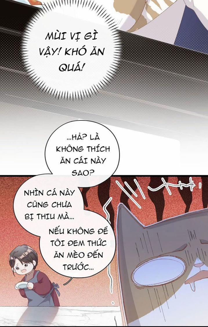 Cà Phê Mèo Phục Thù Ký 7 trang 11