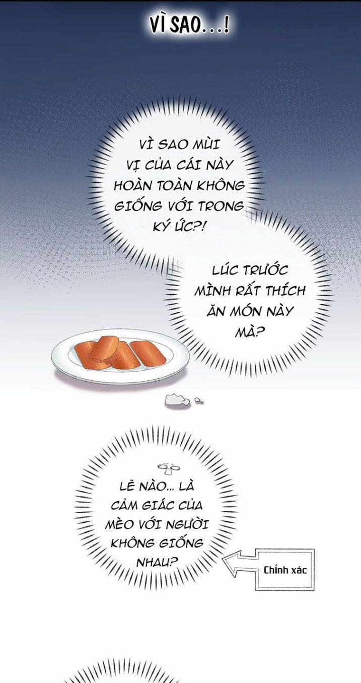 Cà Phê Mèo Phục Thù Ký 7 trang 12