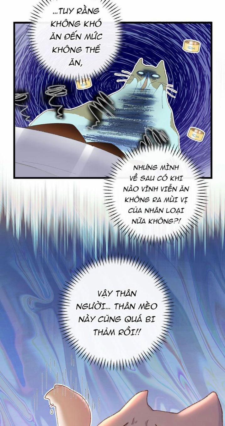 Cà Phê Mèo Phục Thù Ký 7 trang 13